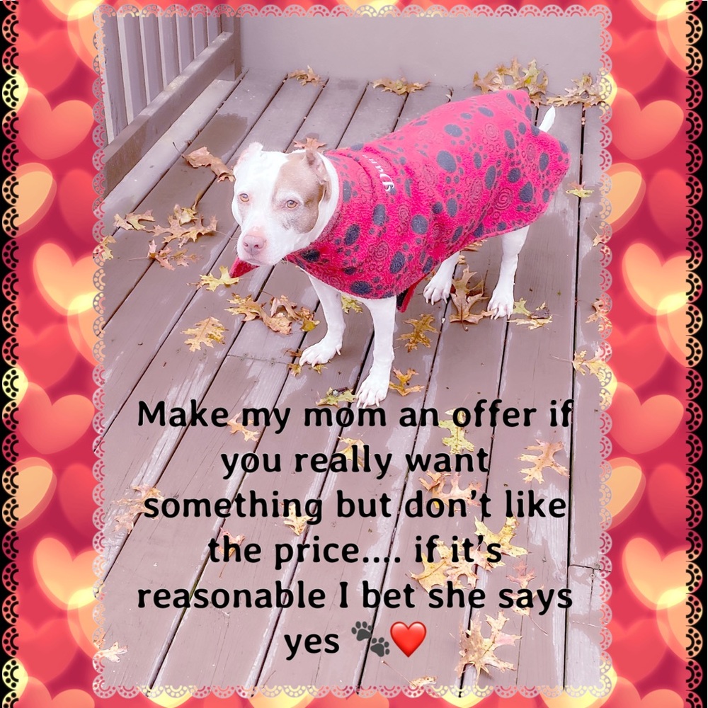 My Rescues ....Danni and her sister Bailey